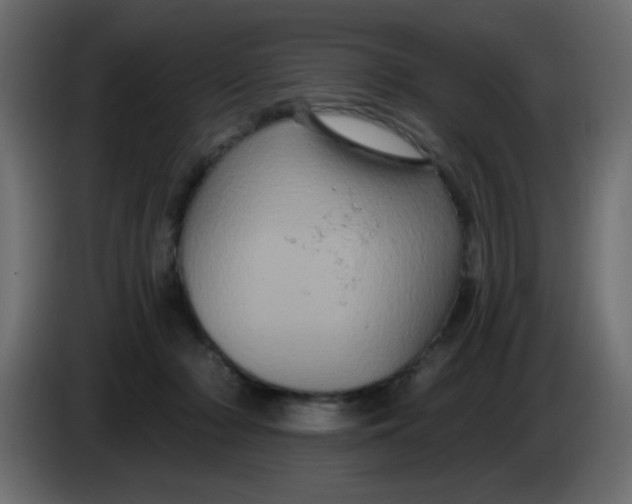 X0000083570318200703021754