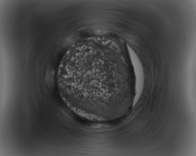 X0000083570319200703021754