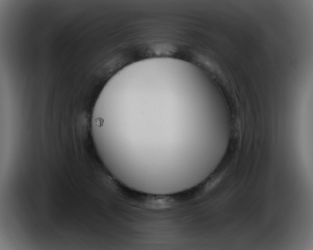 X0000083570321200703021754