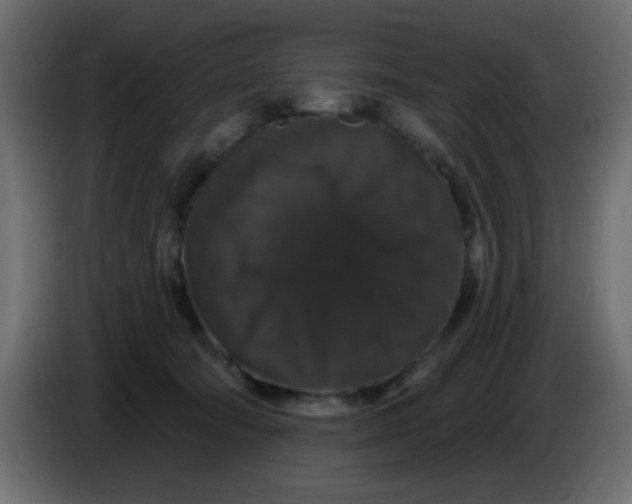 X0000083570322200703021754