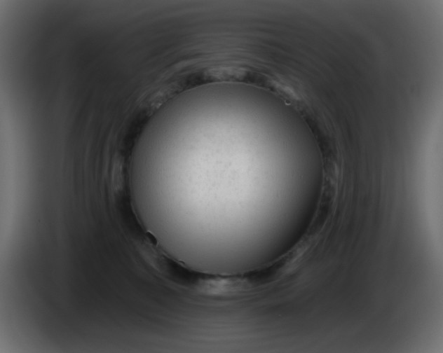 X0000083570323200703021754