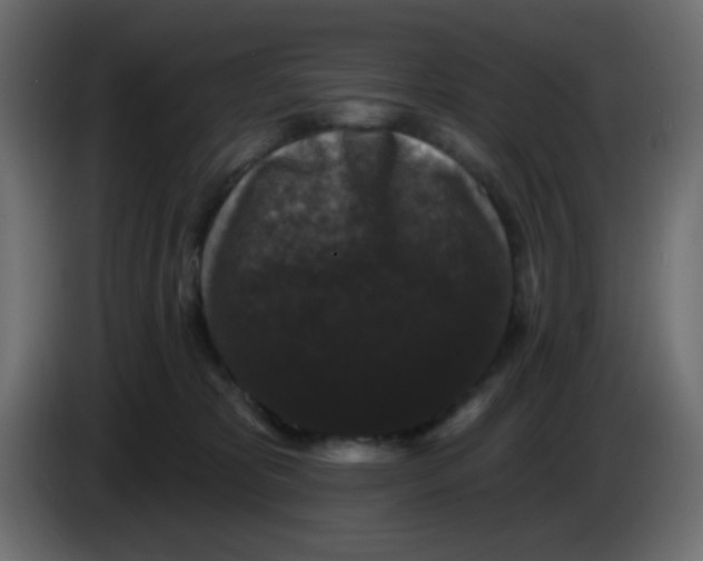 X0000083570325200703021754