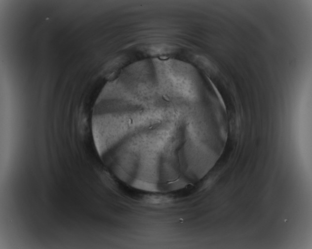 X0000083570327200703021754