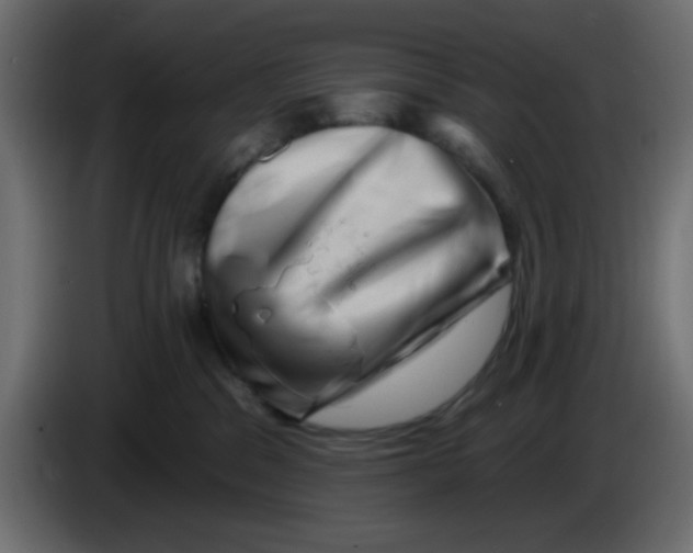 X0000083570329200703021754