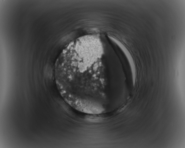 X0000083570331200703021754