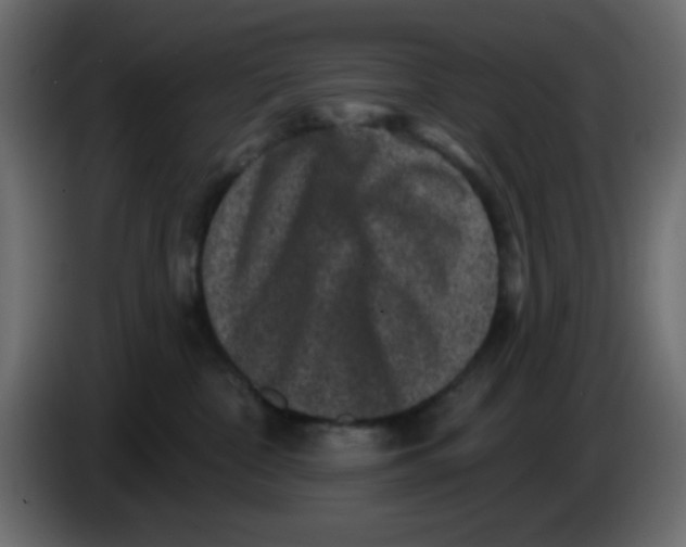 X0000083570332200703021754