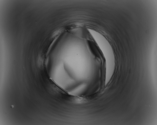X0000083570333200703021754