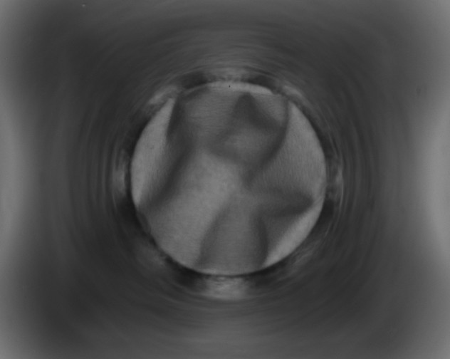 X0000083570334200703021753