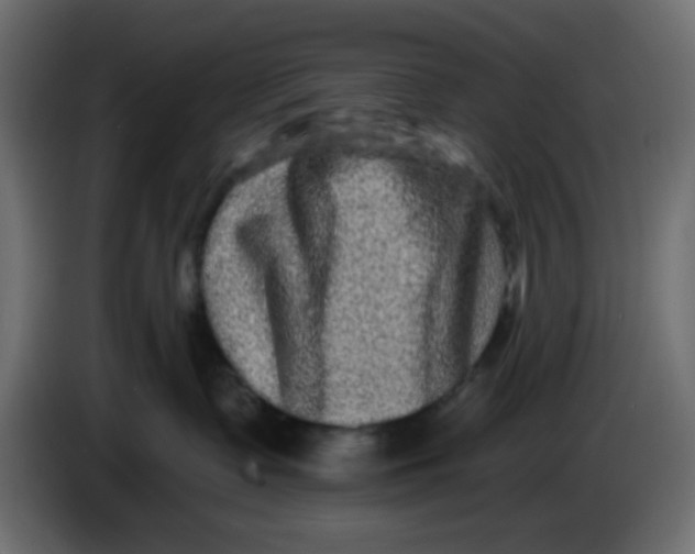 X0000083570335200703021753