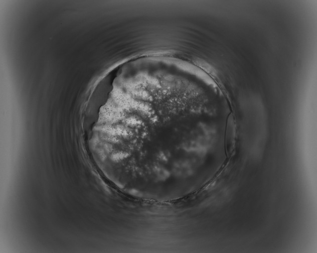 X0000083570337200703021753