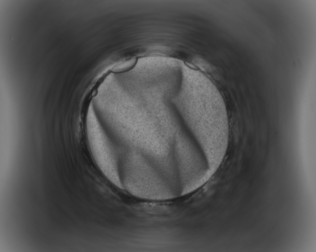 X0000083570338200703021753