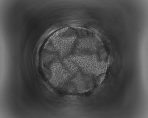 X0000083570339200703021753