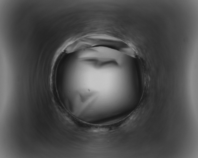 X0000083570340200703021753