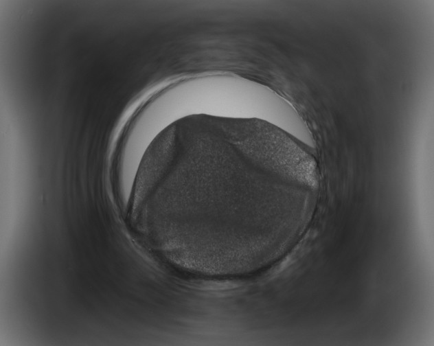 X0000083570342200703021753