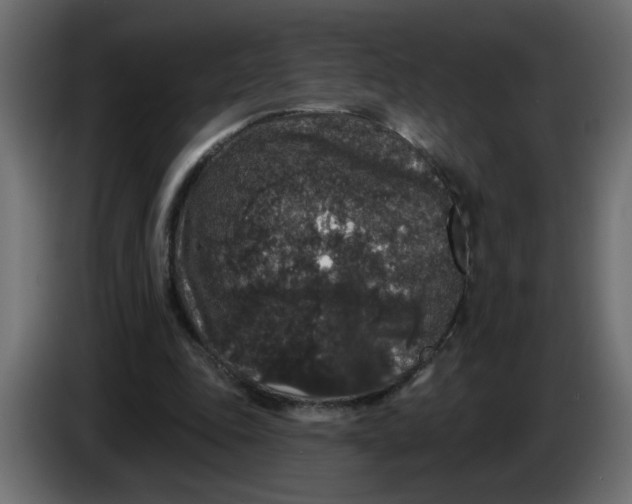 X0000083570343200703021753