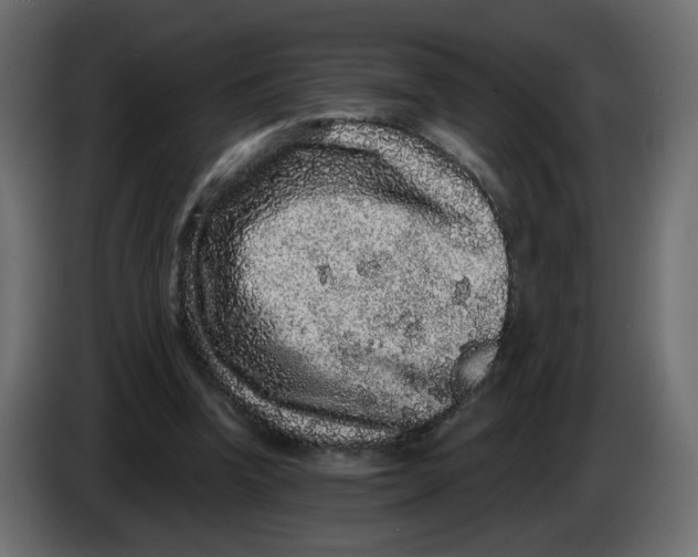 X0000083570346200703021753