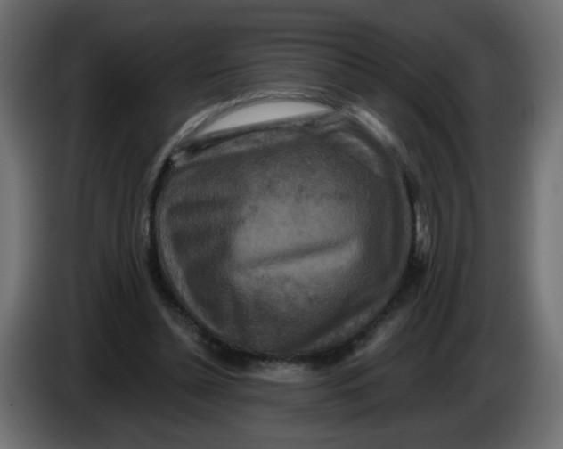 X0000083570348200703021753
