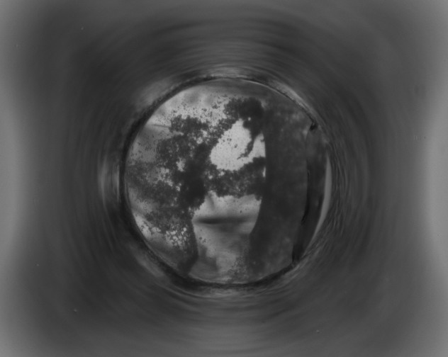 X0000083570349200703021753