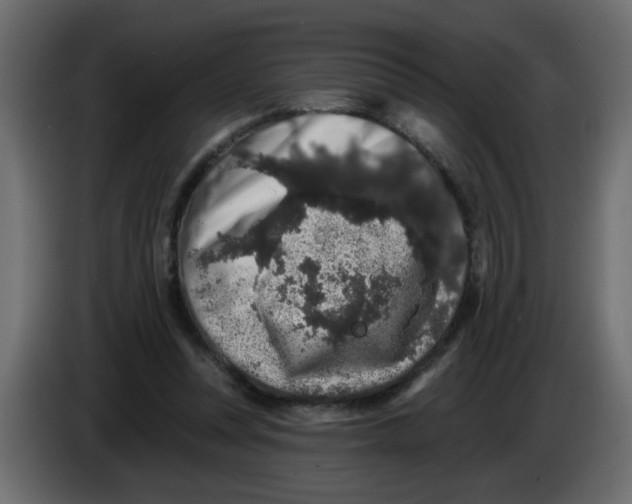 X0000083570351200703021753