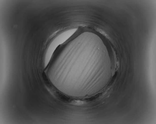 X0000083570352200703021753