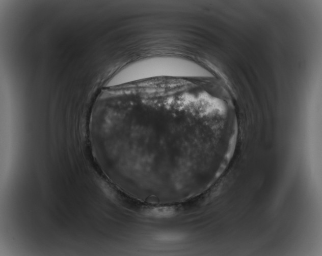 X0000083570353200703021753