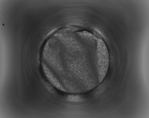 X0000083570354200703021753
