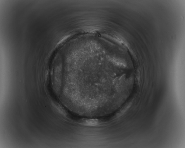 X0000083570355200703021753