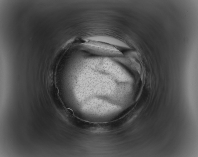 X0000083570356200703021753