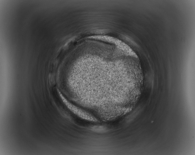 X0000083570358200703021753