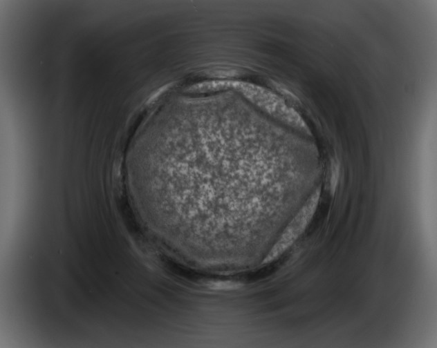 X0000083570360200703021753