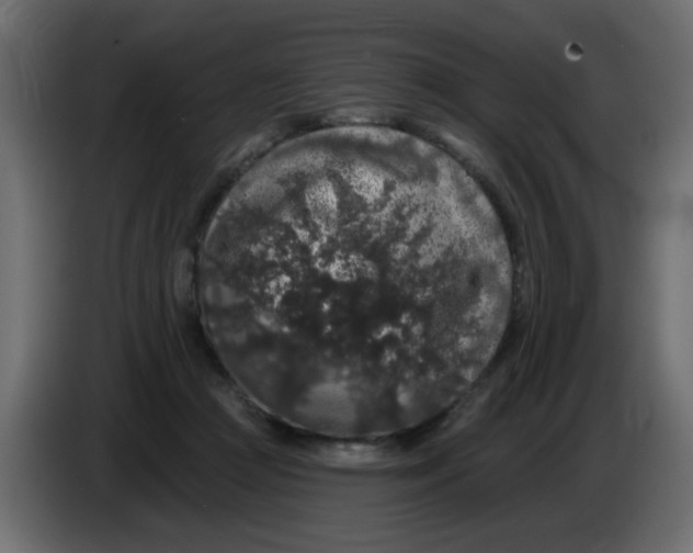 X0000083570361200703021753