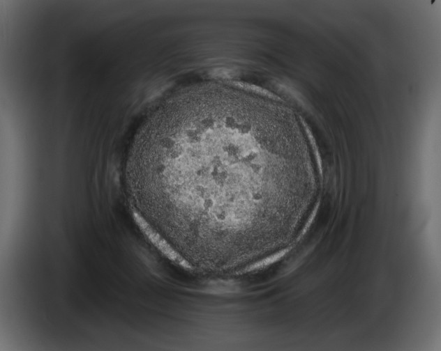 X0000083570363200703021753