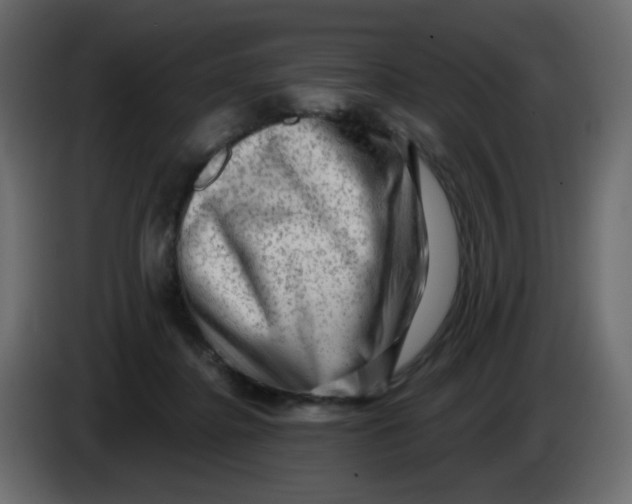 X0000083570364200703021753