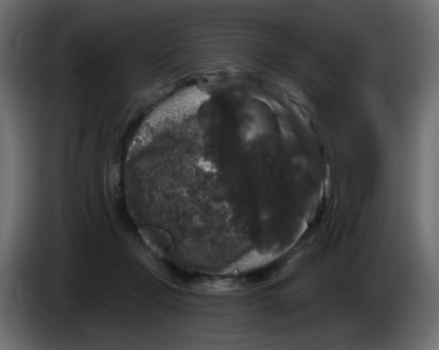 X0000083570365200703021753