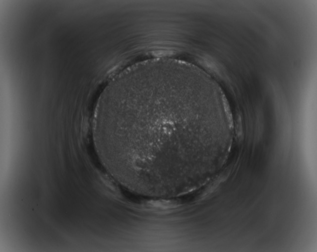 X0000083570367200703021753