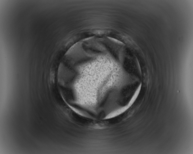 X0000083570368200703021753