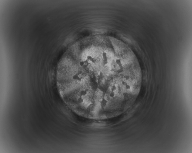 X0000083570369200703021753