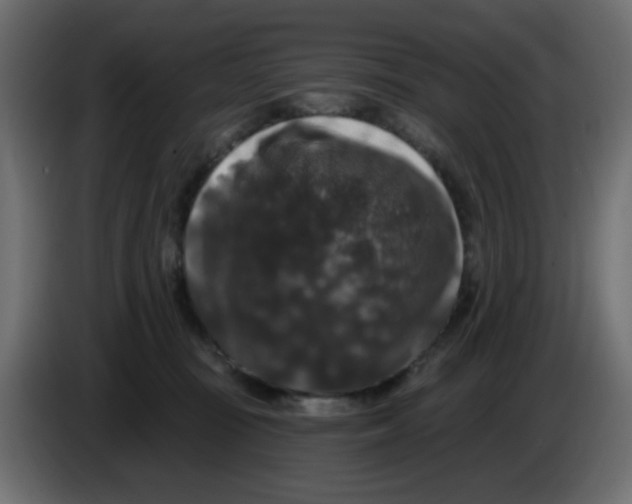X0000083570371200703021753