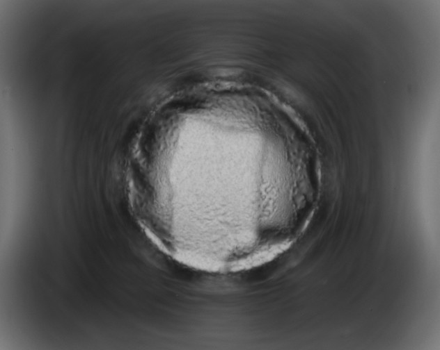 X0000083570373200703021753