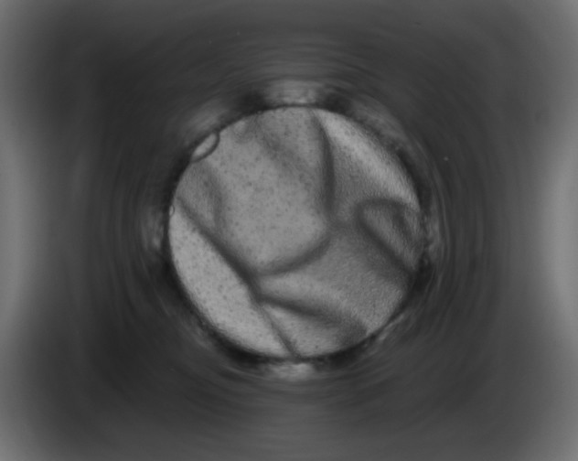 X0000083570374200703021753