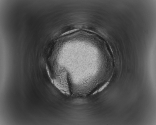 X0000083570375200703021753