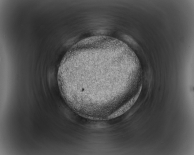 X0000083570377200703021753
