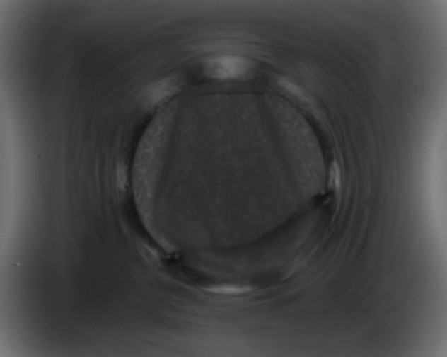 X0000083570380200703021753