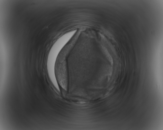 X0000083570382200703021753