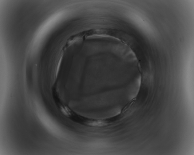 X0000083570383200703021753