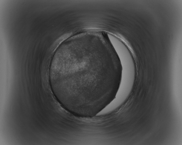 X0000083570385200703021753