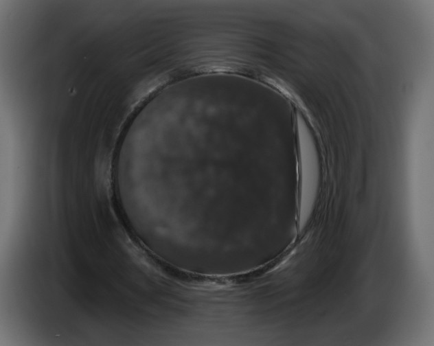 X0000083570386200703021753