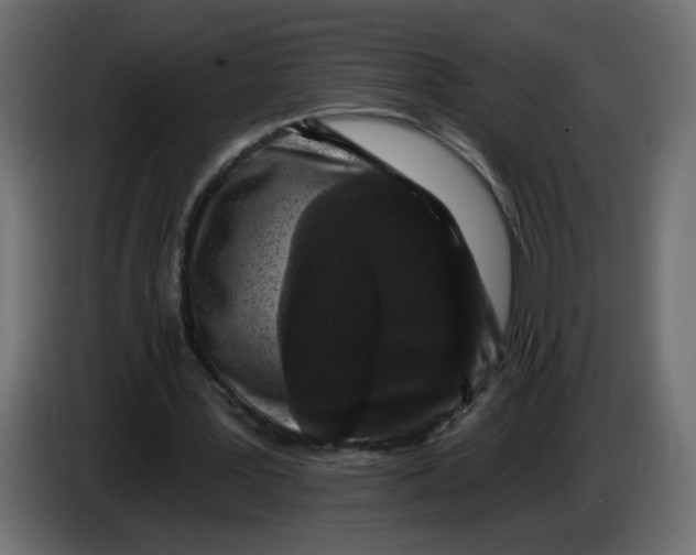 X0000083570387200703021753