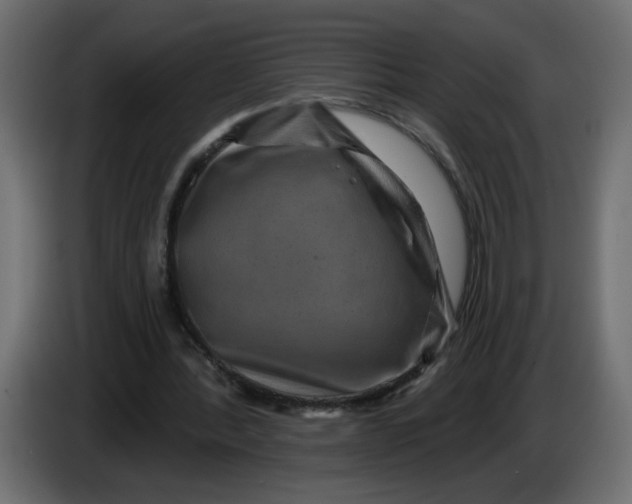X0000083570388200703021753