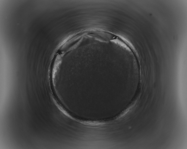 X0000083570389200703021753